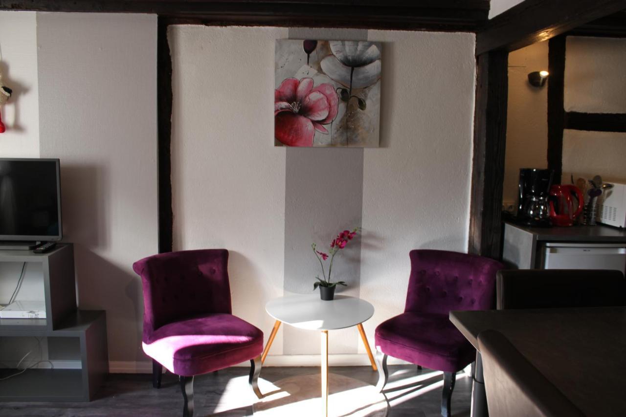 Appartement Les Violettes Кольмар Экстерьер фото